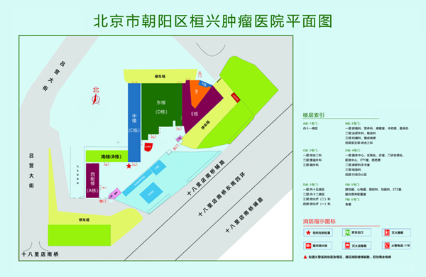 日批舔批北京市朝阳区桓兴肿瘤医院平面图